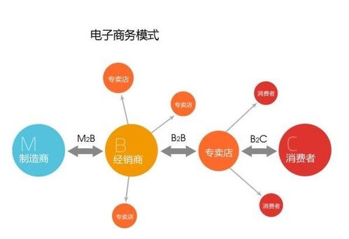 向網(wǎng)絡(luò)強(qiáng)國(guó)闊步前行 電子商務(wù)平臺(tái)的運(yùn)營(yíng)策略與轉(zhuǎn)型之道